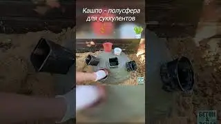 Песок тазик и цемент, получилось кашпо для суккулентов  #diy #сделайсам #изцемента  #кашподляцветов