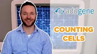 Counting Cells