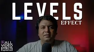 Levels-Video Effect-2 | All Video Effects Explained | Premiere Pro