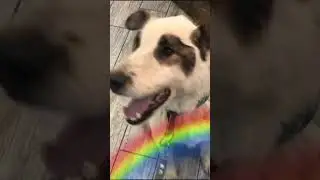 Прости нас, Макс 