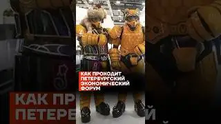 Как проходит Петербургский международный экономический форум