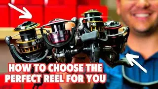 How To Choose The Perfect Fishing Reel Based On Needs & Budget