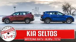 Обзор - Kia Seltos 2021. Какой выбрать, Селтос 1,6 с автоматом или Seltos 2,0  с вариатором?