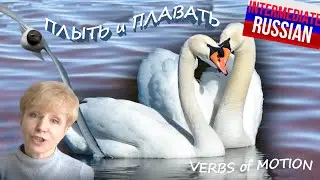 Intermediate Russian Verbs of Motion: ПЛЫТЬ и ПЛАВАТЬ - с лебедями