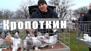 Птичий рынок. Кропоткин. [31.12.2023]