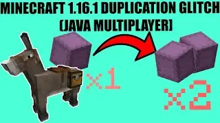 Minecraft Java Dupe 1.16