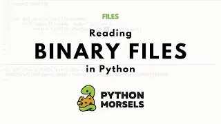 Reading binary files in Python