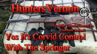 Air Rifle Hunting, Yes It's Corvid Control With The Springer