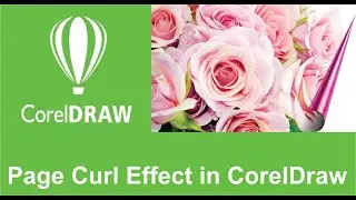 Page Curl Effect in CorelDraw