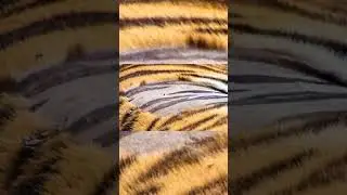 Картинки Которые Ты Не Должен Видеть 👀