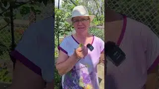 Его называли свистулькой... Как сделать свистульку.