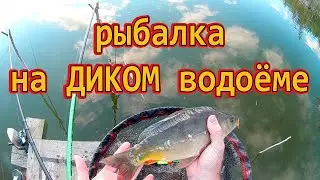 Рыбалка на диком водоёме /// Рыбалка на Кубани 2022 /// Выпуск № 27