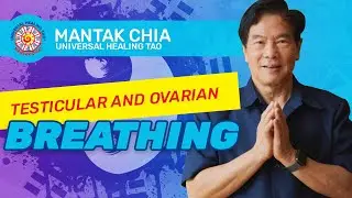 Testicular and Ovarian Breathing by Mantak Chia