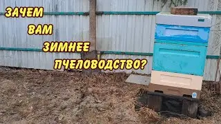 ПЧЕЛОВОДЫ, зачем Вам зимнее пчеловодство !!!