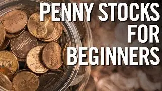 PENNY STOCKS FOR BEGINNERS 📈 Basics Of Investing In Penny Stocks