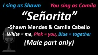 Shawn Mendes, Camila Cabello - Señorita (Male Part Only) | Lower Key | Cover 