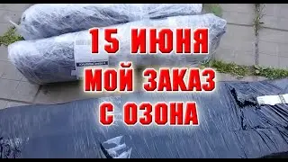 15 июня.  Привезли заказ с Озона