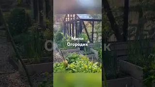 обзор огорода 2024. красивый и шикарный огород своими руками. Грядки и кашпо из ротанга. моя лачуга