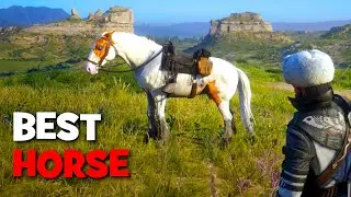 The BEST Horse in Red Dead Online