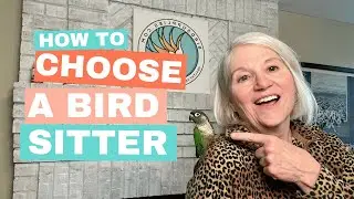 How To Find a Pet Sitter For Your Bird - Don't Wing It!