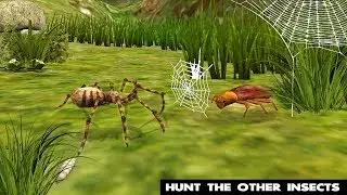 🕷🕸Ultimate Spider Simulator-симулятор пауков-By Clans-Android