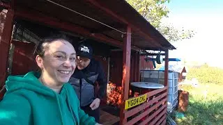 Купили дачу! Перші знахідки і покупки.