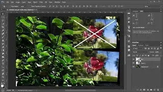 Limitaciones de incrustar un jpeg como objeto inteligente en Photoshop