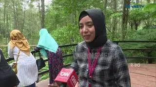 Menikmati Wisata Taman Bunga di Lembang