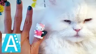 Семья пальчиков Кошки. Finger Family Cat Song. Пальчики Кошки. Хэлло Китти.