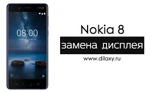 Замена экрана Nokia 8 | Разборка Нокия 8