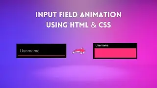 Input Field Animations with HTML and CSS - Input Label Animation  | Web Content