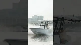 251 Bay Fox