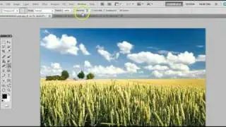 How To Use The Paint Bucket Tool In Adobe Photoshop