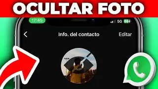 Cómo Ocultar Tu Foto De Perfil De WhatsApp A Un Contacto (2024)