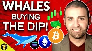 🚨Whales BUY the Bitcoin & Crypto DIP After the Market Crashed!🤯