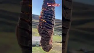 Кусок мяса сушится в горах Гагатли 