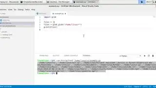 List files in directory with Python