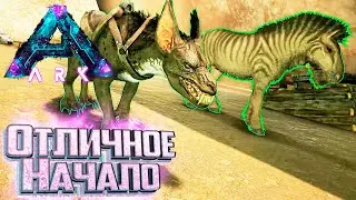 Отличное Начало на Аберрации - ARK Survival Aberration Выживание