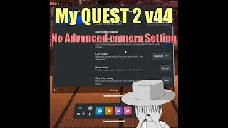 No Camera Setting on My Quest v44