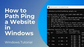 How to Path Ping a Website in Windows 10/11