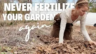 PLANTS instead of LANDSCAPE FABRIC: a deep mulch system to feed garden soil!