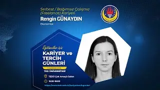 Rengin Günaydın - Freelance Ekonomist Kariyeri