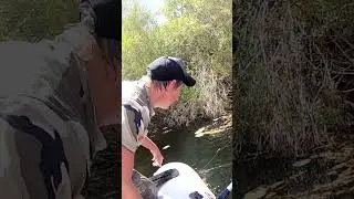 ХОРОШАЯ ЩУКА НА ПЕРЕМЕТ!#short#shorts