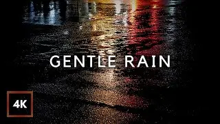 GENTLE NIGHT RAIN Sounds on Road | Rain Sounds for Sleeping, Rain for Deep Sleep