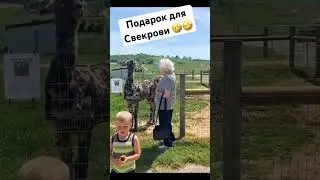 Дарите друг другу только лучшие подарки .😂😂