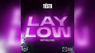 Tiësto - Lay Low (White Whale Remix)