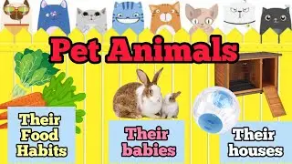 Animal world/Pet animals/Pet animal names/their babies/homes/food habits