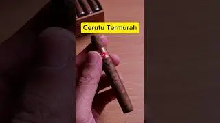 Review Cerutu Paling Murah Se-Indonesia | Havana Extra Fine