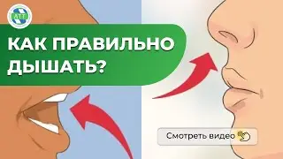 Как правильно дышать носом или ртом. Дыхание носом. Стандарты красоты.