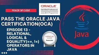 Oracle Java Certification-OCA| Relational, Logical & Equality Operators in Java|